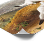 Poster Petit Nimble Weasel Putorius agilis Illustration (Coin)