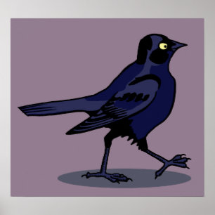 Poster Petit oiseau-noir méchant