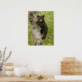 Poster Petit Ours noir dans l'arbre (Cuisine)