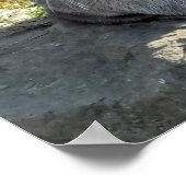 POSTER PETIT OUTIL (Coin)