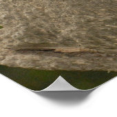 Poster Petit panda géant (Coin)