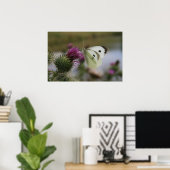 Poster Petit Papillon blanc sur chardon Spear (Bureau à domicile)