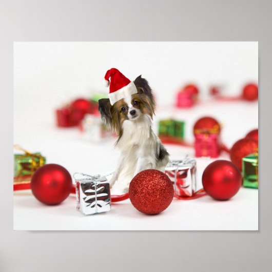 Poster Petit Papillon Chien Noël Santa Hat (Devant)