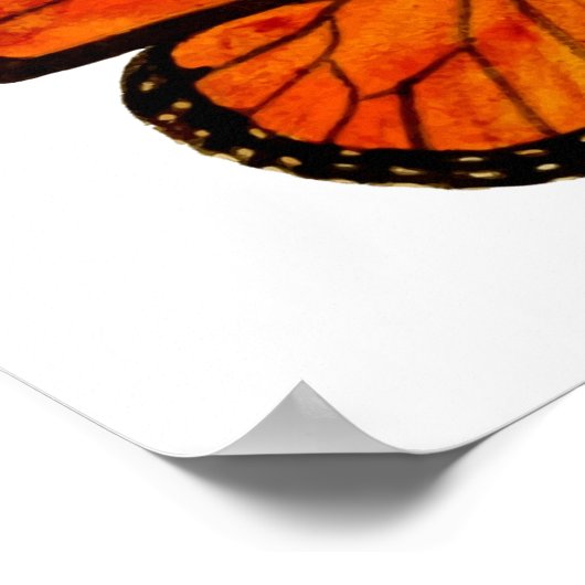 Poster Petit papillon monarque (Coin)