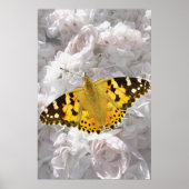 Poster Petit papillon Tortoiseshell (Devant)
