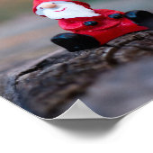 Poster Petit Père Noël Clause Joyeux Noël (Coin)