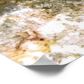 Poster Petit poisson rouge (Coin)