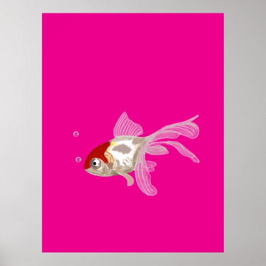 Poster Petit poisson rouge - (Devant)