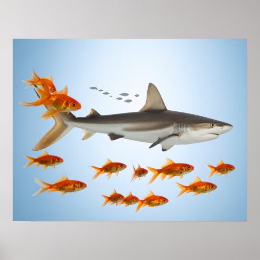 Poster « Petit poisson rouge, grosse énergie de requin » (Devant)