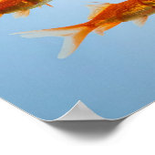 Poster « Petit poisson rouge, grosse énergie de requin » (Coin)