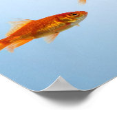 Poster « Petit poisson rouge, grosse énergie de requin » (Coin)