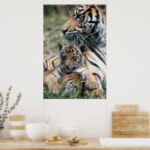 Poster Petit tigre (Cuisine)