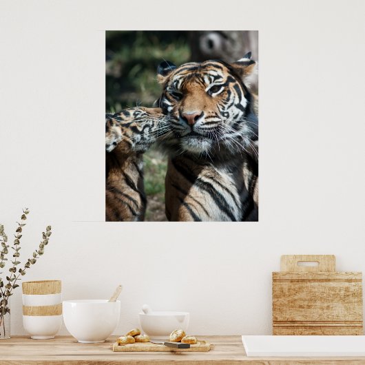 Poster Petit tigre (Cuisine)
