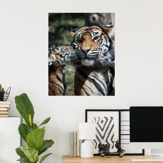 Poster Petit tigre (Bureau à domicile)