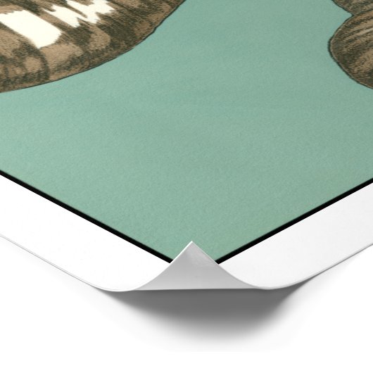 Poster Petit trio Shell Turquoise (Coin)