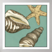 Poster Petit trio Shell Turquoise (Devant)