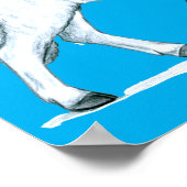 Poster Petit White Lamb (Coin)