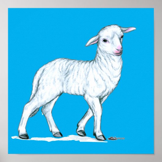 Poster Petit White Lamb (Devant)