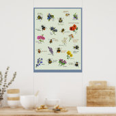 Poster PetitArt | Fleur d'abeille et de fleur sauvage bri (Cuisine)