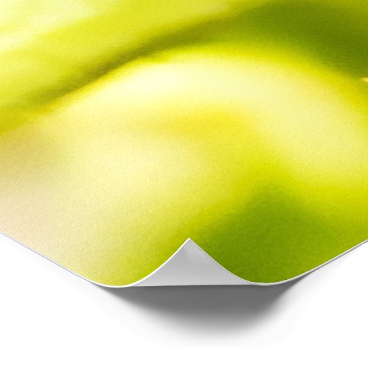 Poster Petite araignée (Coin)