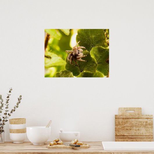 Poster Petite araignée (Cuisine)