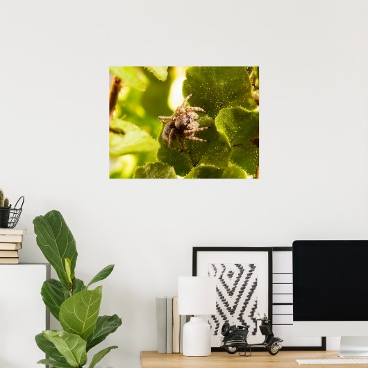 Poster Petite araignée (Bureau à domicile)