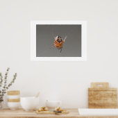 Poster Petite araignée orange mignonne (Cuisine)