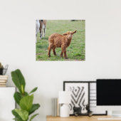 Poster Petite chèvre (Bureau à domicile)