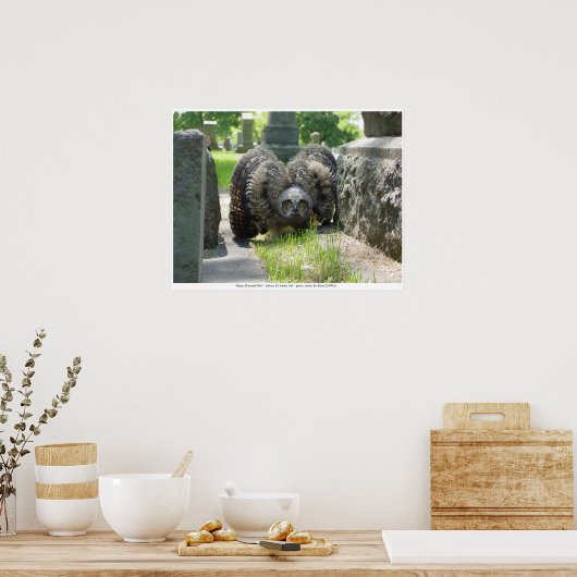 Poster Petite chouette à cornes (Cuisine)