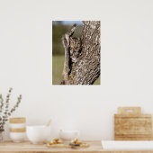 Poster Petite chouette des terriers de l'est (Cuisine)