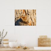 Poster Petite chouette des terriers orientale (Cuisine)