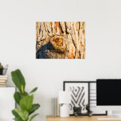 Poster Petite chouette des terriers orientale (Bureau à domicile)