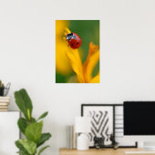 Poster Petite dame sur une fleur (Bureau à domicile)