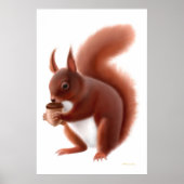 Poster Petite écureuil rouge (Devant)