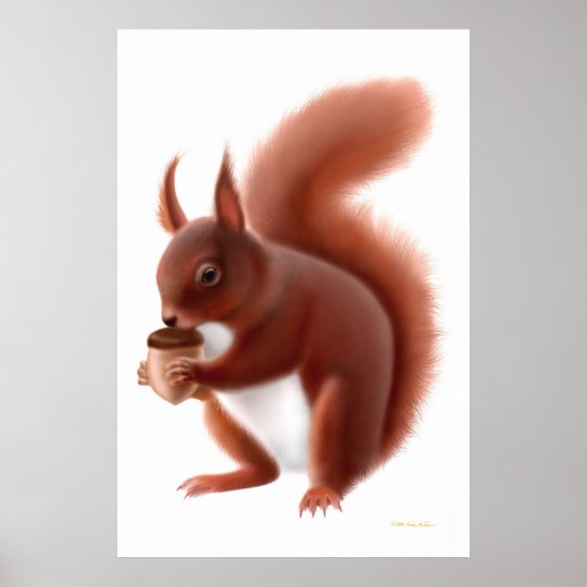 Poster Petite écureuil rouge (Devant)