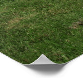 Poster petite église blanche (Coin)