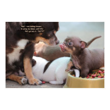 Petite famille de chiens au dîner