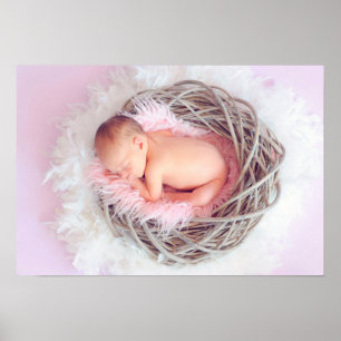 Poster Petite fille dans son nid