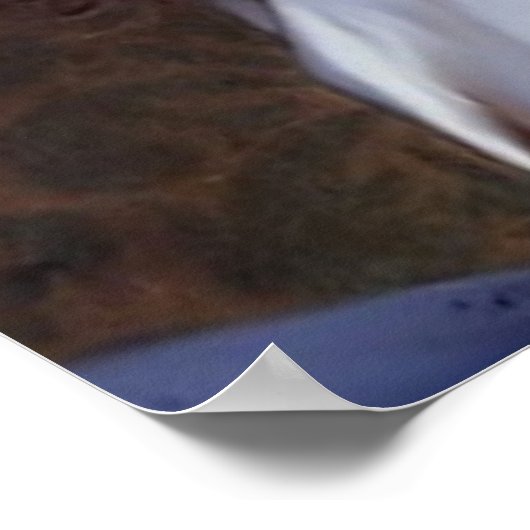 Poster Petite fille douce et son chaton (Coin)