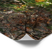 POSTER PETITE FORÊT RIVIÈRE MOYENNE (Coin)