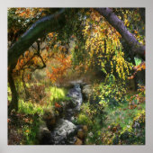 POSTER PETITE FORÊT RIVIÈRE MOYENNE (Devant)