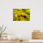 Poster Petite fourmi sur Goldenrod (Cuisine)
