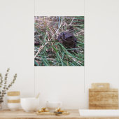 Poster Petite grenouille (Cuisine)