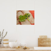 Poster Petite grenouille tropicale (Cuisine)