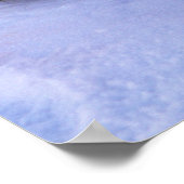 Poster Petite housse de phoque de harpe recouverte de flo (Coin)