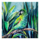 Poster Petite macaw verte (Devant)