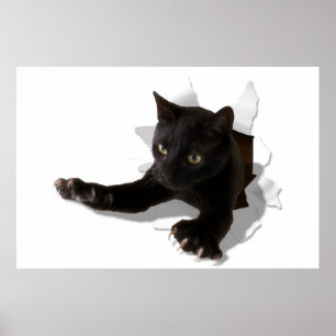 Poster petite panthère