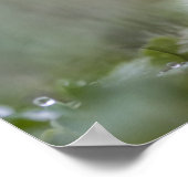 Poster Petite photo de la nature des champignons (Coin)