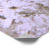 Poster Petite Poisson (Coin)