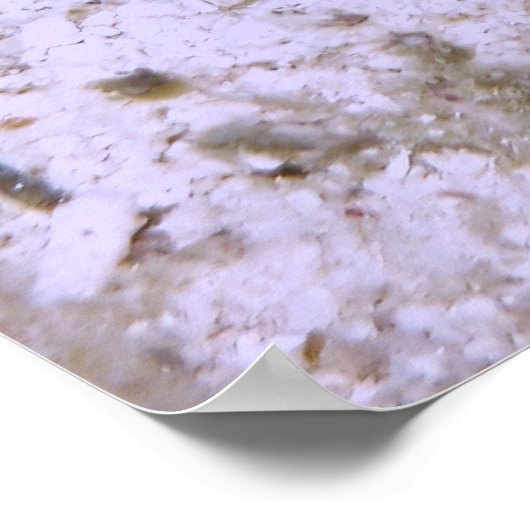 Poster Petite Poisson (Coin)